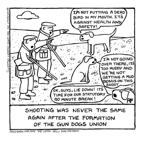 gun dog union.jpg